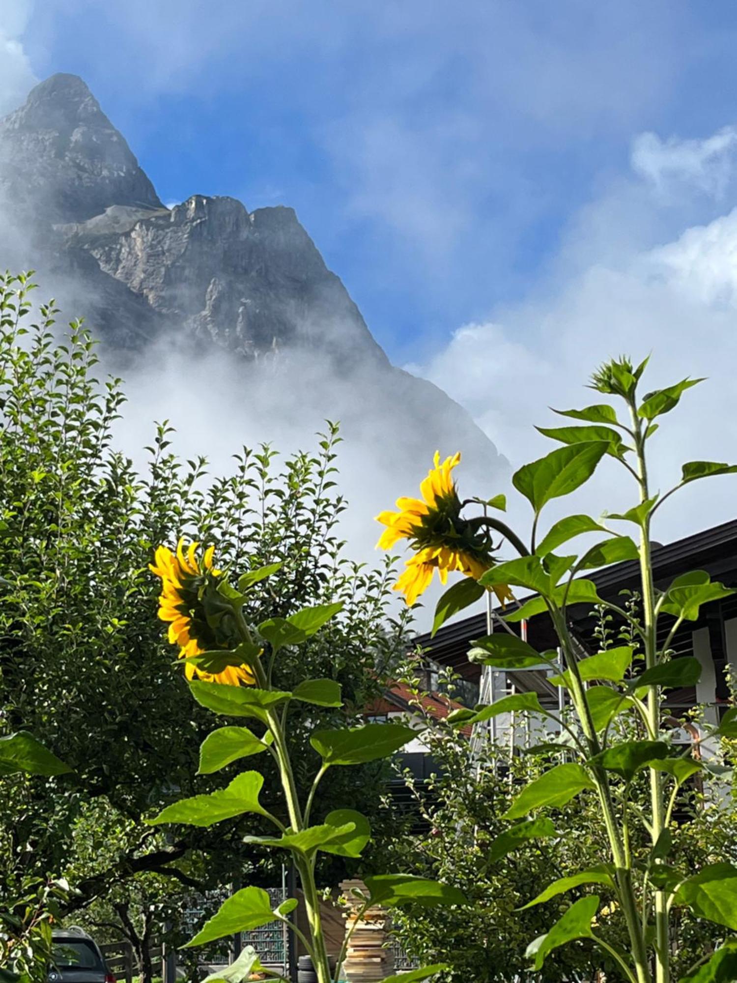 Haus Alpenblume Apartment Ehrwald Bagian luar foto