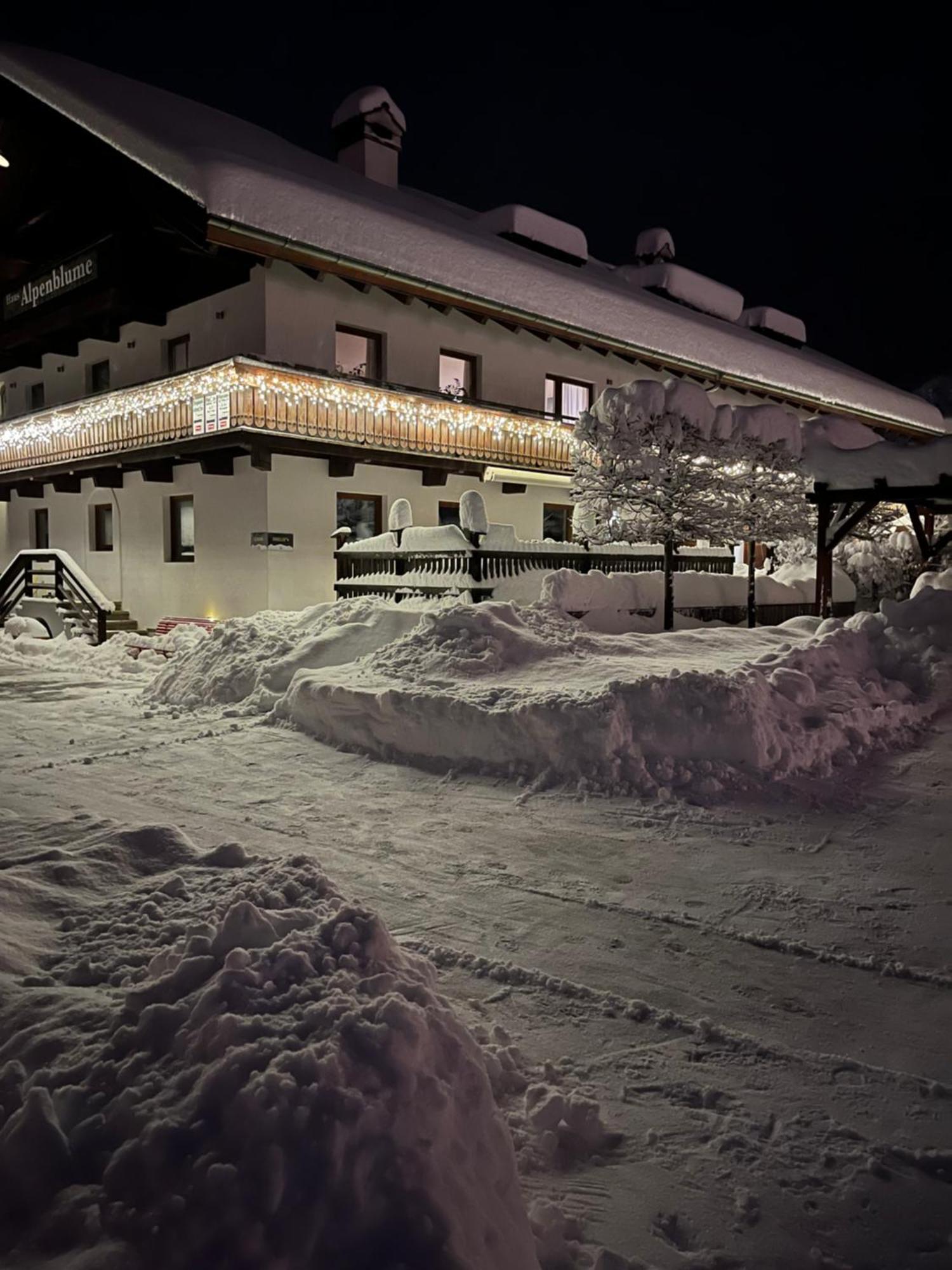 Haus Alpenblume Apartment Ehrwald Bagian luar foto